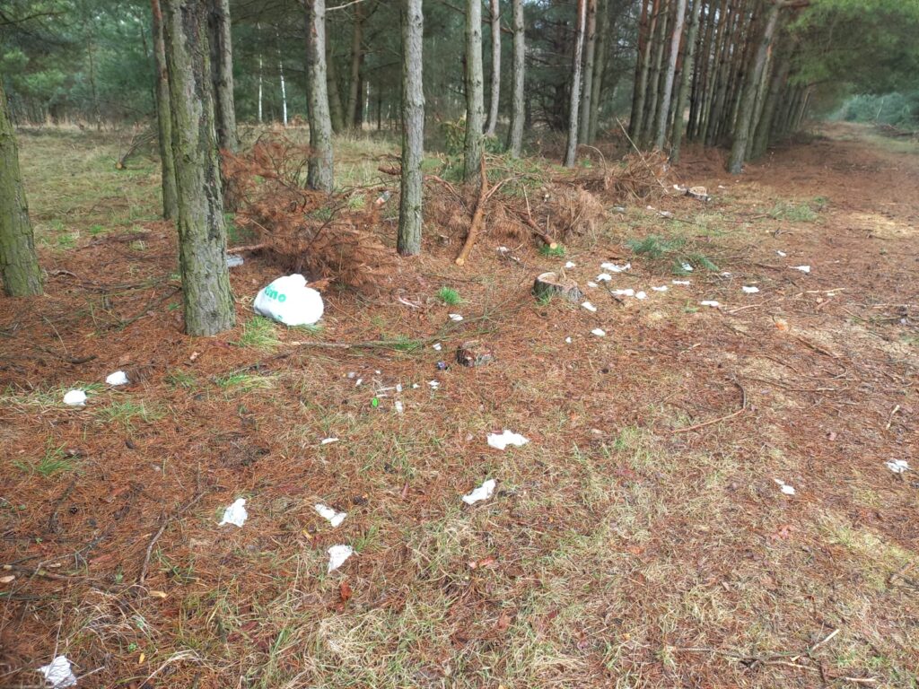 sprzątanie po łoś 2025
